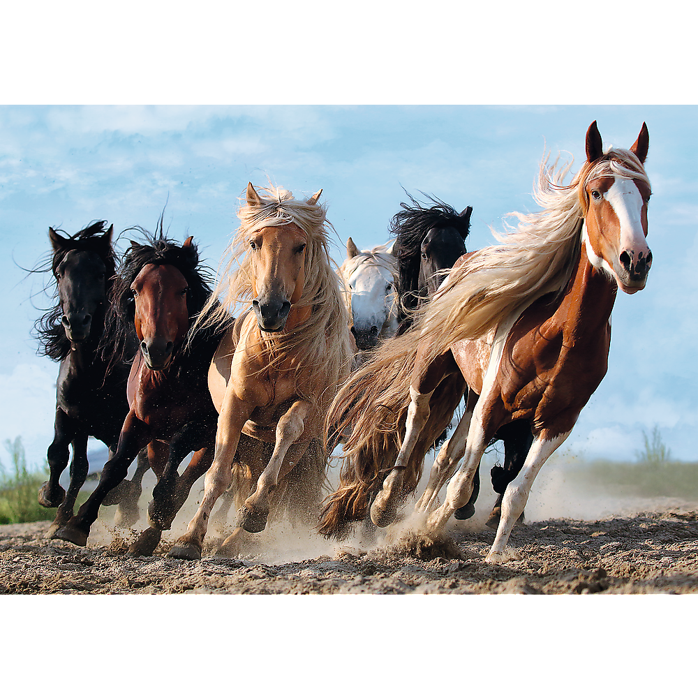 1000 Piece Jigsaw Puzzles, Galloping Horses, Wild Horse Puzzle, Animal Puzzle