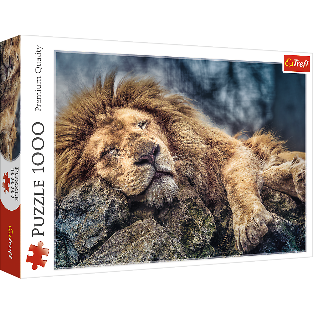 1000 Piece Jigsaw Puzzles, Sleeping Lion, Wild Animal Puzzle, Big Cats Puzzle