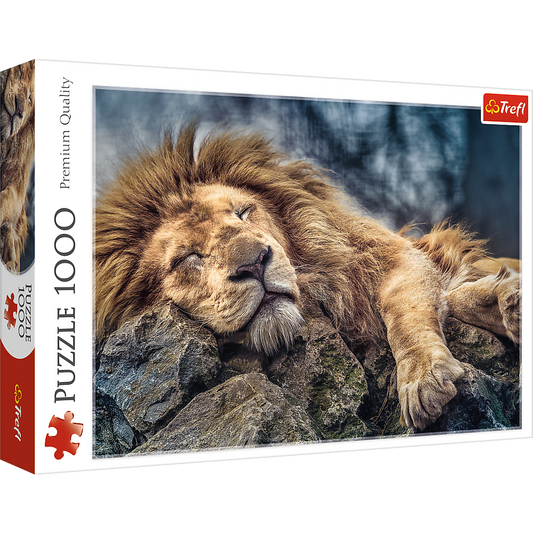 1000 Piece Jigsaw Puzzles, Sleeping Lion, Wild Animal Puzzle, Big Cats Puzzle