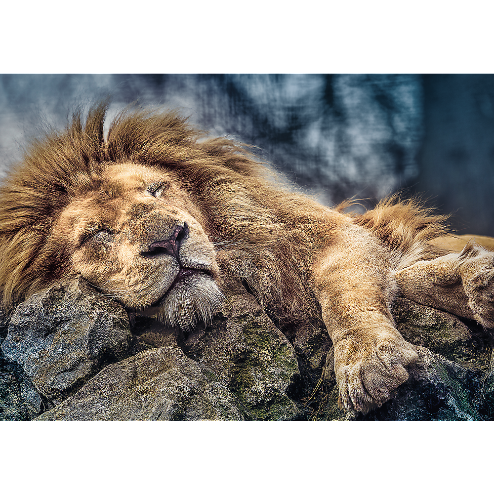 1000 Piece Jigsaw Puzzles, Sleeping Lion, Wild Animal Puzzle, Big Cats Puzzle