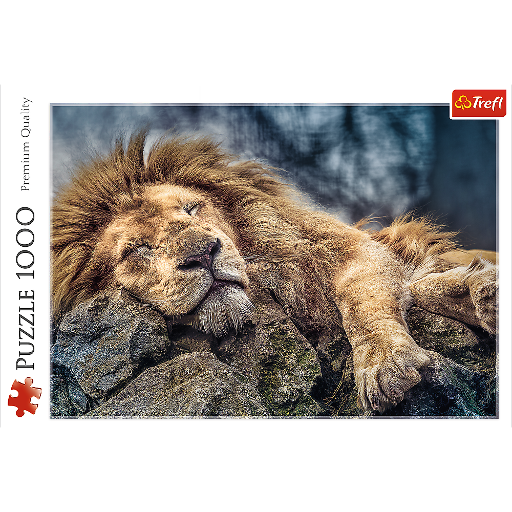 1000 Piece Jigsaw Puzzles, Sleeping Lion, Wild Animal Puzzle, Big Cats Puzzle