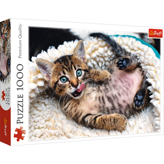 1000 Piece Jigsaw Puzzles, Cheerful Kitten, Puzzle of Animals, Cats, Kittens and Pets