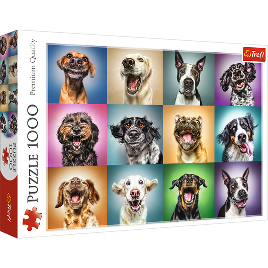 1000 Piece Jigsaw Puzzle, Funny Dog Portraits, Pets Puzzle, Golden Retriever Puzzle