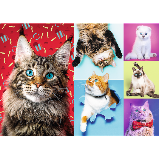 1000 Piece Jigsaw Puzzles, Happy Cats, Pets, Silly Animals, Cats and Kittens