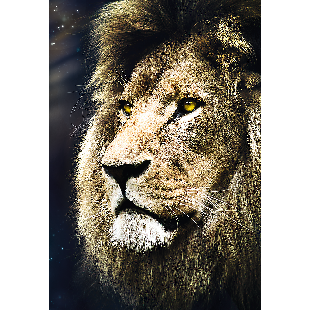 1500 Piece Jigsaw Puzzle, Lion's Portrait, Wild Animal Puzzles, Big Cat Puzzles