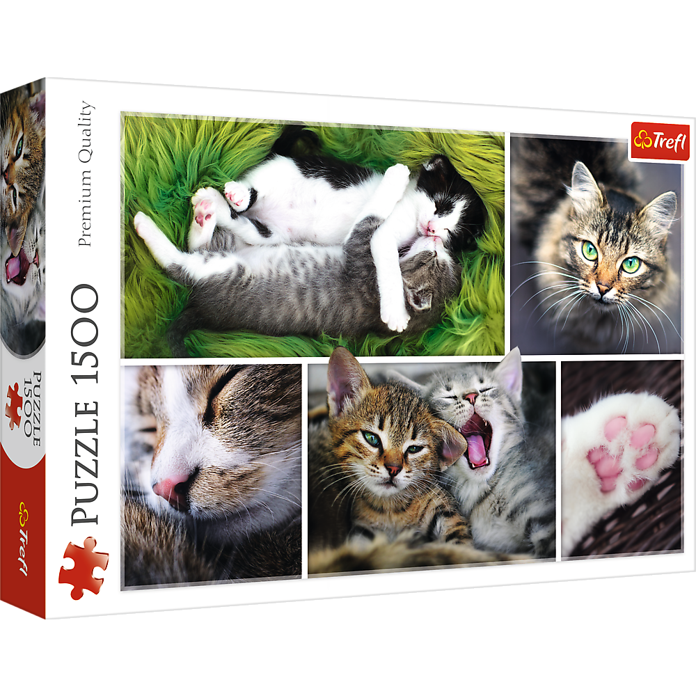 1500 Piece Jigsaw Puzzle, Just Cat Things Collage, Pets, Cats and Kittens, Animal Collage