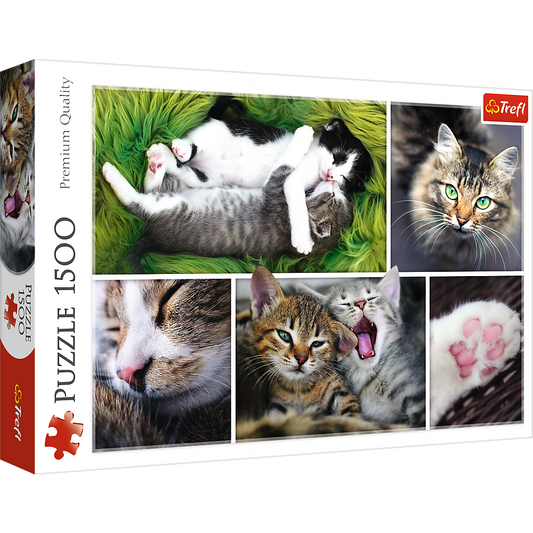 1500 Piece Jigsaw Puzzle, Just Cat Things Collage, Pets, Cats and Kittens, Animal Collage