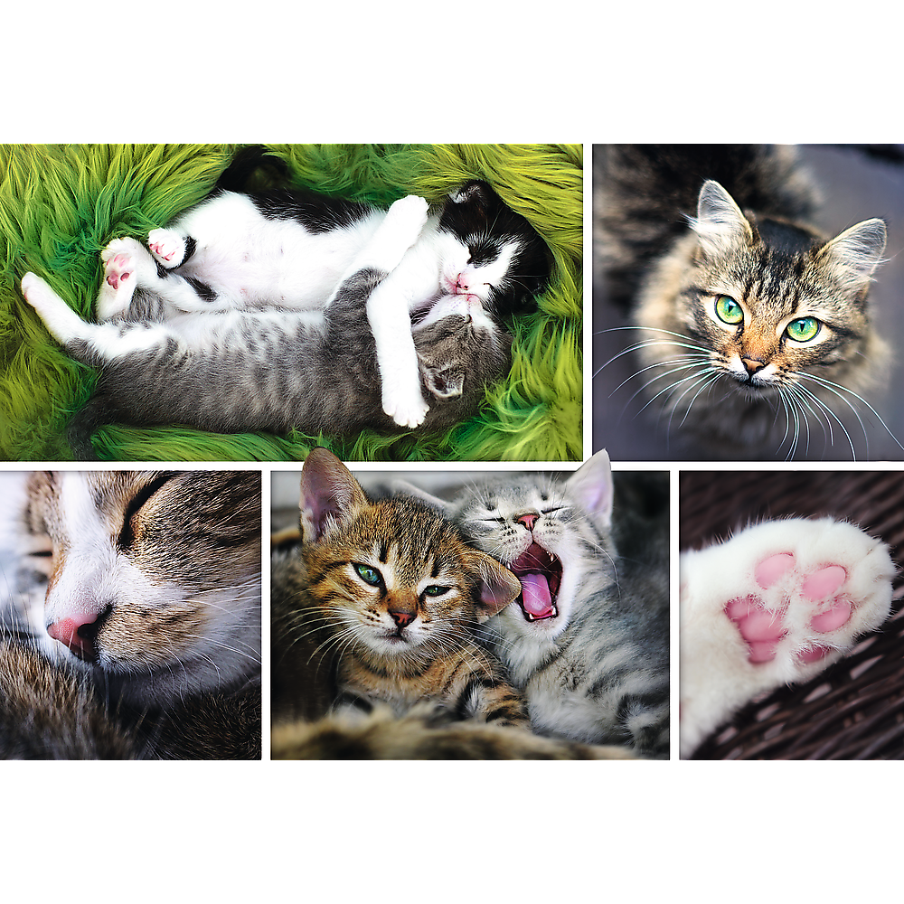 1500 Piece Jigsaw Puzzle, Just Cat Things Collage, Pets, Cats and Kittens, Animal Collage