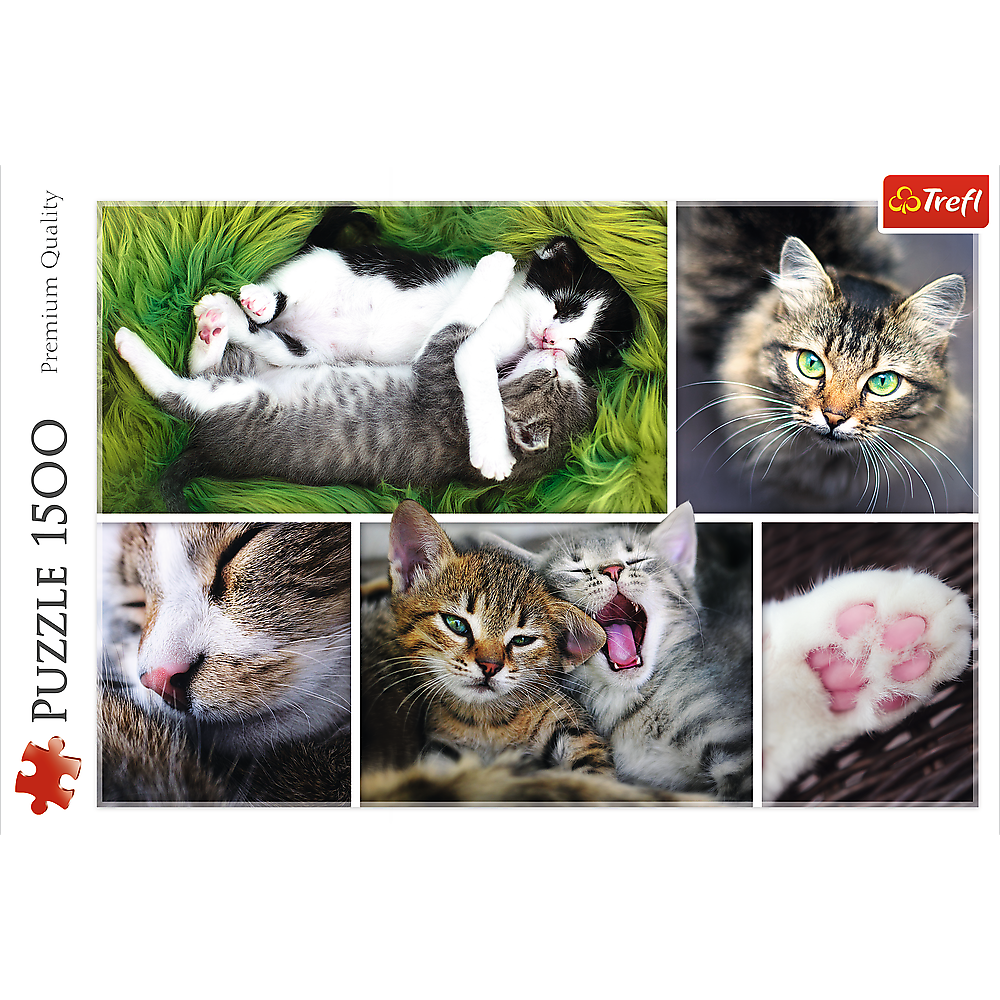 1500 Piece Jigsaw Puzzle, Just Cat Things Collage, Pets, Cats and Kittens, Animal Collage