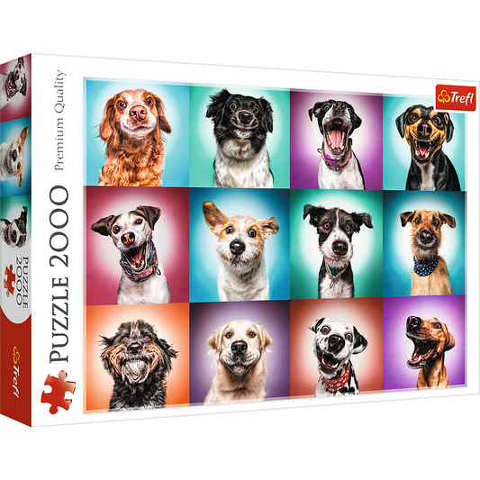 2000 piece Jigsaw Puzzles - Funny dog portraits II, Pets Puzzle