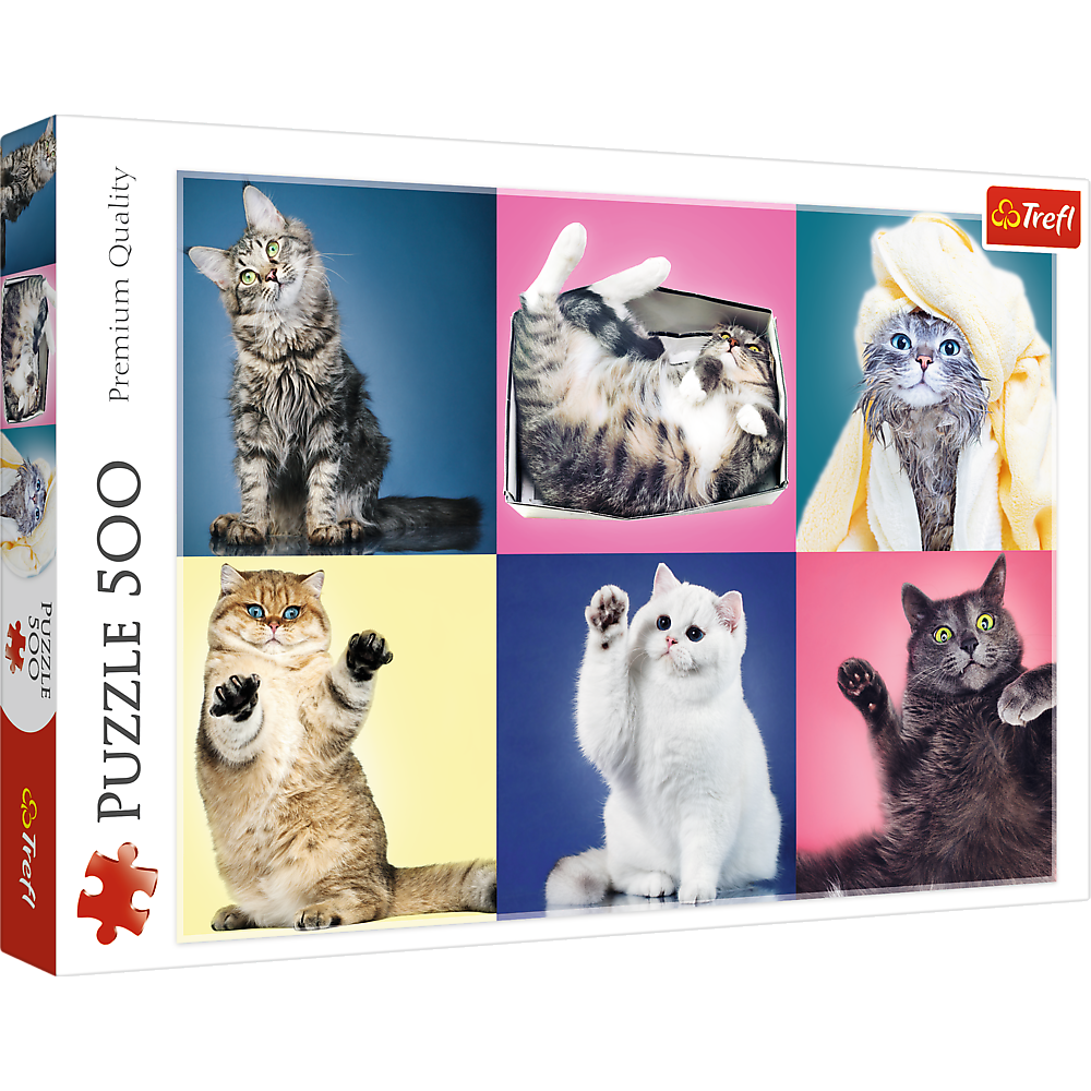 500 Piece Jigsaw Puzzle, Kittens, Silly Pets, Cat Collage