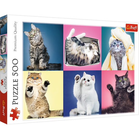 500 Piece Jigsaw Puzzle, Kittens, Silly Pets, Cat Collage