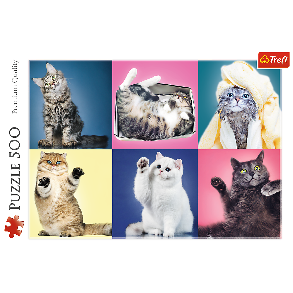 500 Piece Jigsaw Puzzle, Kittens, Silly Pets, Cat Collage