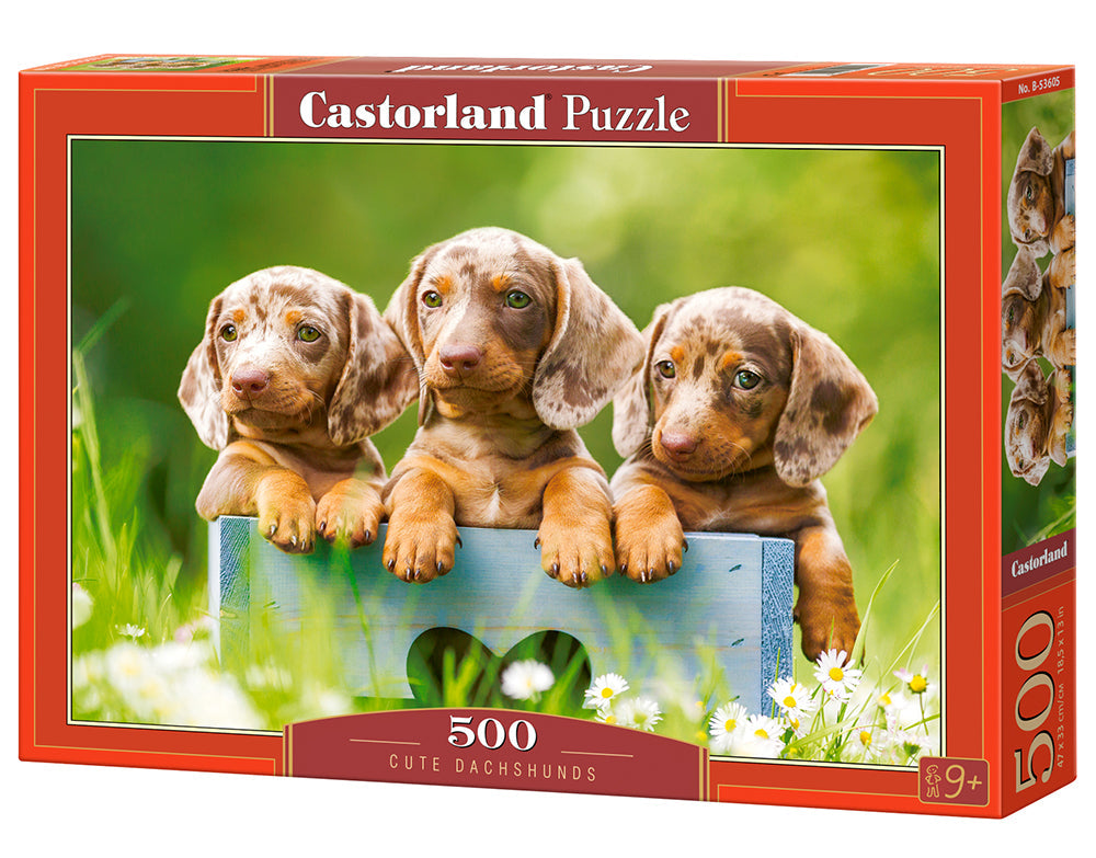 500 Piece Jigsaw Puzzle, Cute Dachshunds, Animal puzzle, Dogs, Puppies