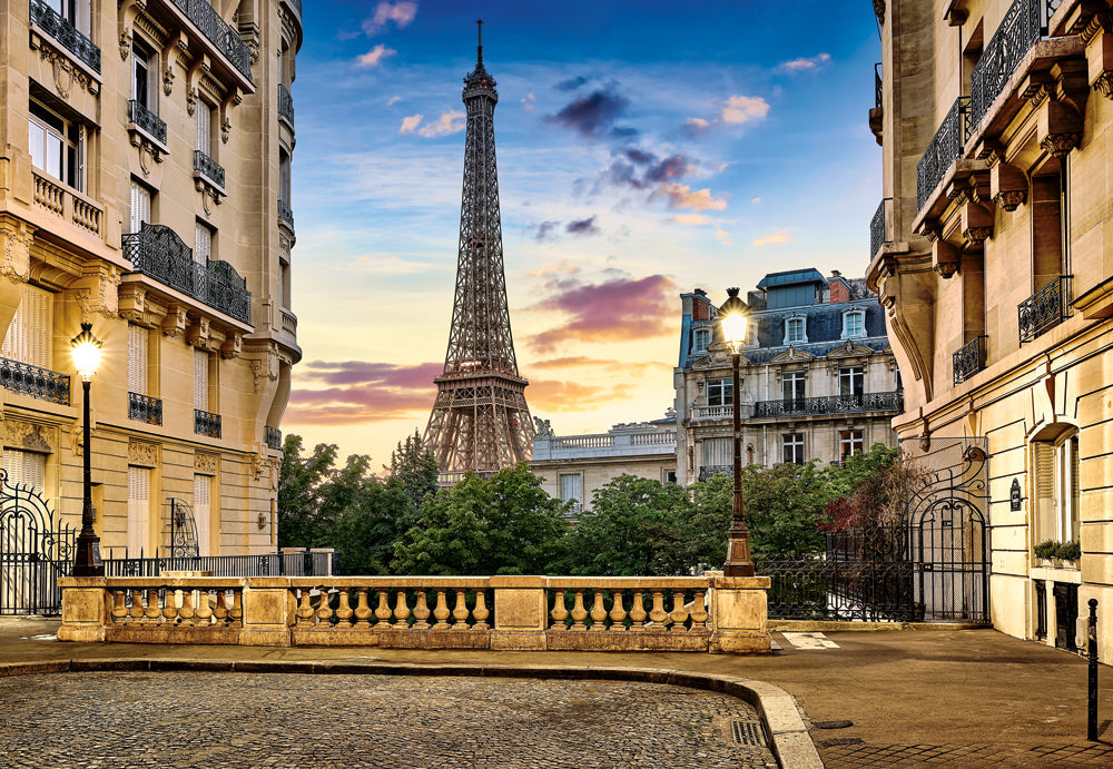 1000 Piece Jigsaw Puzzle, Walk in Paris at Sunset, Puzzle of France, cityscape, Eiffel Tower