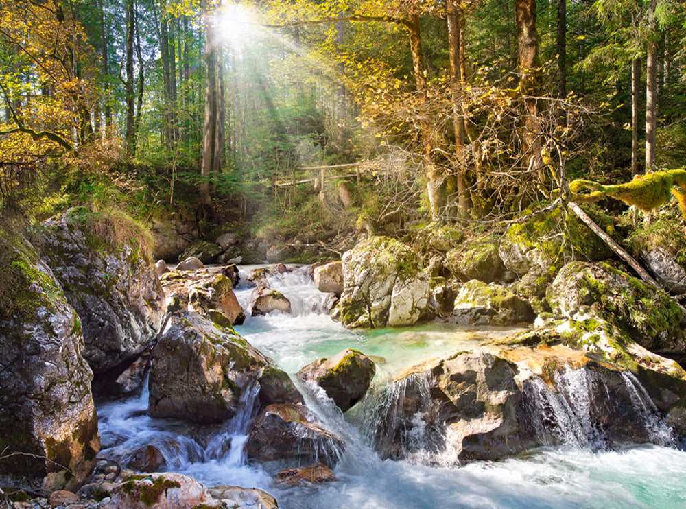 2000 Piece Jigsaw Puzzle, The forest stream, Mountain stream, Nature