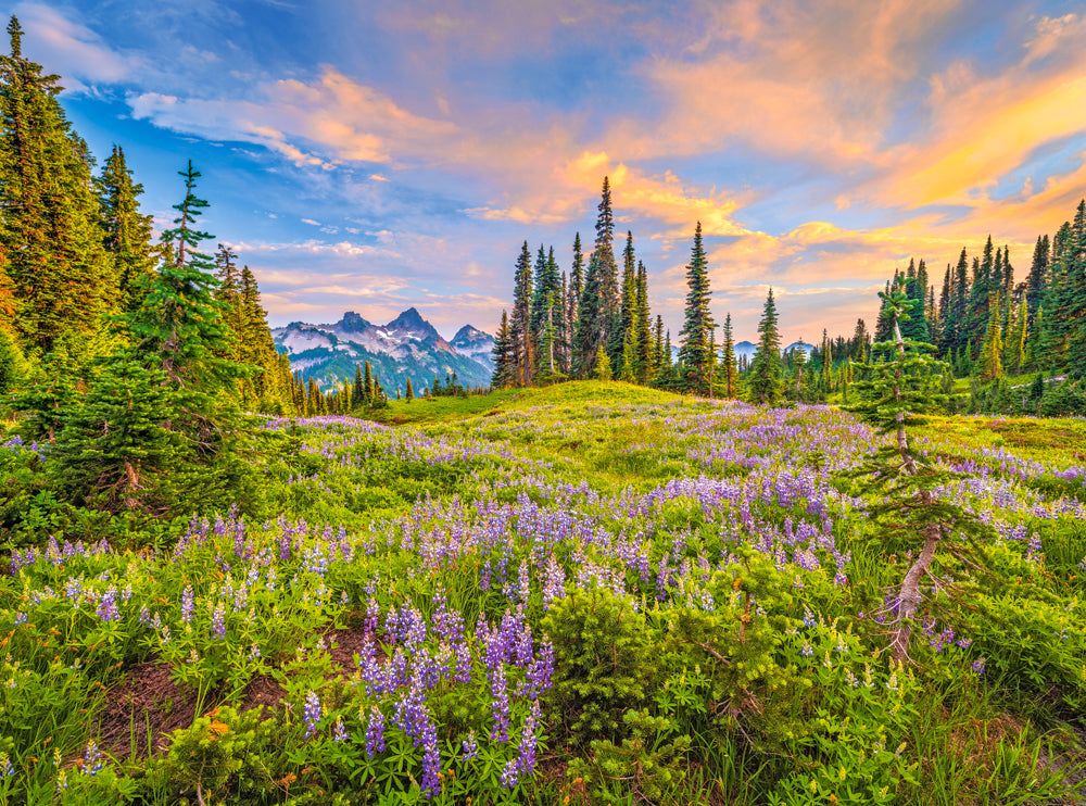 2000 Piece Jigsaw Puzzle, Blossoms of Morning, Landscape puzzles, Meadow, Mountain view