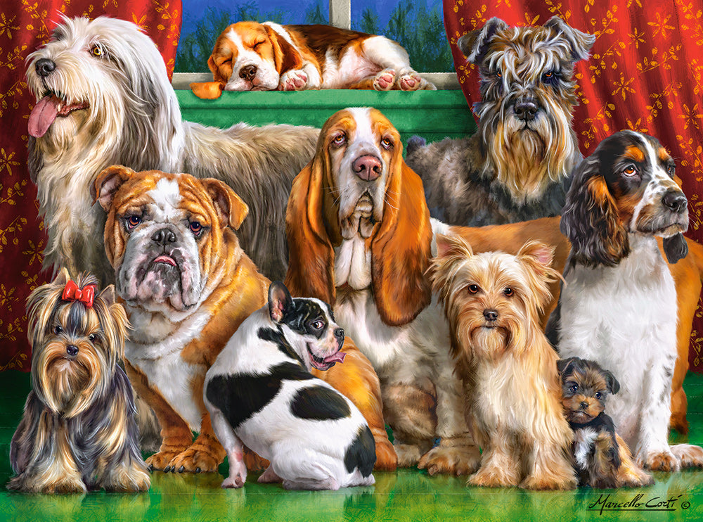 3000 Piece Jigsaw Puzzle, Dog Club, Dog Lovers Puzzle, Animal puzzle, Many Dog Breeds