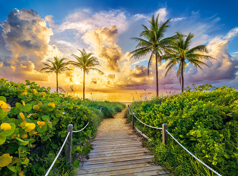 3000 Piece Jigsaw Puzzles, Colorful Sunrise in Miami, USA