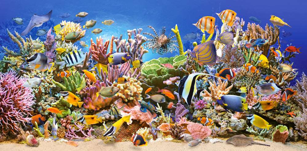 4000 Piece Jigsaw Puzzle, Underwater life, Sealife, Ocean